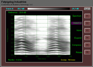 Spectrogram with Negative Color Map